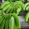 Fresh Cavendish Banana