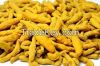 turmeric powder and turmeric finger