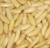 Quality Natural Pine Nut