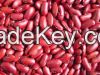 Red Kidney beans