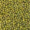 Green Mung Beans