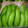 Fresh Bananas