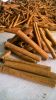 Cinnamon Sticks, Cardamom, herbs, spice, condiments, kernels, grains, nuts