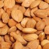 Grade A Apricot Kernels available