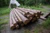 Burma Teak Logs , burma square logs and sawn timber