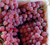 Fresh red globe grapes