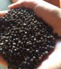 WHITE PEPPER & BLACK PEPPER - SO MUCH GOOD PRICE - INTERNATIONAL QUALITY - BEST SERVICE - PROMPT SHIPMENT