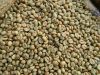 Robusta Coffee beans