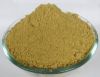 High Quality And Competitive Price Ginger Extract Powder