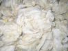 Raw Wool, Merino Wool, Greasy Wool