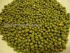 Green mung beans