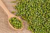 MUNG BEANS