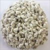 Premium quality Cotton Seeds for supply in bulk
