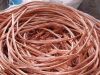Hot Sale High Quality Copper Wire Rod 8mm