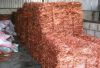 High Purity, Copper Wire Scrap Millberry, Copper Wire Scrap 99.99%