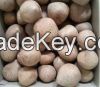 Fresh and dried  Mature Coconut for sale