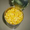 Canned Fresh Sweet Corn