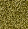 ORGANIC MUNG BEANS