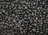 Origin natural dried bulk black kidney beans