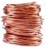 Copper Plated Stranded Wire
