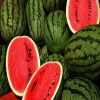 Watermelon For Sale
