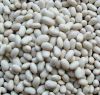 Best Price Agriculture Products Egyptian White Kidney Beans