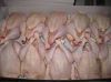 SA A GRADE HALAL FROZEN WHOLE CHICKEN READY FOR EXPORT.