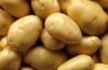 Potato, Fresh Potatoes for Sale / Fresh Irish Potatoes