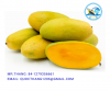 100% Fresh Mango in Vietnam - High quality cheap price Mango