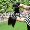 10A grade virgin Brazilian hair bundle human Hair, 