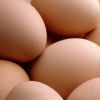 Fresh Poultry Eggs (White / Brown) available in L, XL, Jumbo sizes