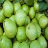 New crop 2020 fresh guava fruit origin from South Africa