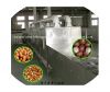 industrial microwave continuous tunnel dryer cashew nut , soybean, coffee bean, nut meat drying machine