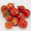 Organic cherries tomatoes