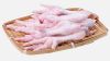 Premium Quality Processed Frozen Chicken Feet/Paws /Wings for sale