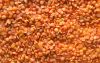 Red Split Lentils