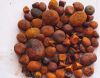 Cow Ox Gallstones