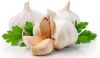 Fresh White Garlic Price/Fresh Peeler Garlic Bulk