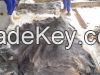 Quality Dry Donkey Hides, Wet Blue Cow hides and wet salted cow hides available .