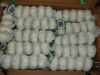 sell pure white garlic crop 2011 3p packed