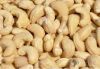 Raw Cashew Nut Prices - Roasted and Salted Cashew Nuts In Different Flavours