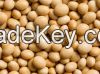 Soybeans