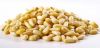 Pine Nuts (Pignolias) / Raw pine nuts / Organic Pine Nuts (Raw, no shell) Mediterranean Pine Nuts