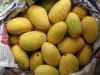 Fresh Mangoes now Available on Sale. 30% discount