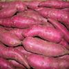 Fresh Sweet Potatoes