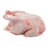 Quality Certified HALAL Frozen Whole Chickenand Frozen Chicken Pieces
