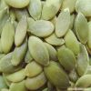 pumpkin seeds kernels AA grade high quality from Inner Mongolia