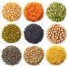 Lentils Seeds