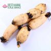 Fresh Frozen Edible Lotus Root Rhizome High Quality Vegetable Manufacture Wholesaler Exporter Supplier
