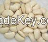 best  quality grade Lima beans whole sale price